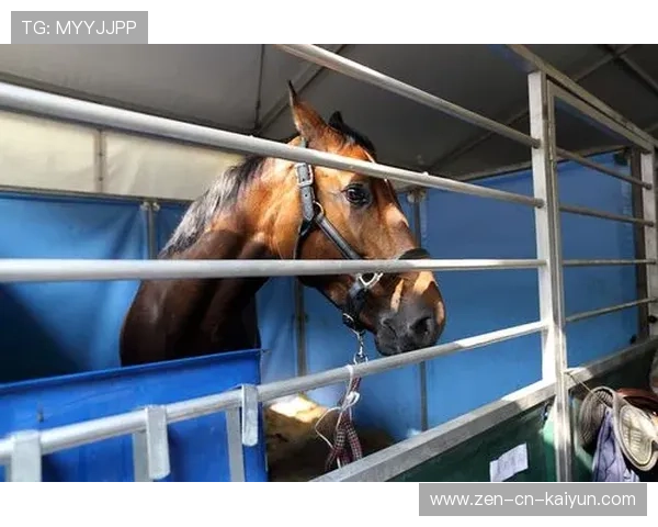 泰国马术协会设立马匹福利基金，支持马匹退休生活。，泰国马杀鸡有哪些项目